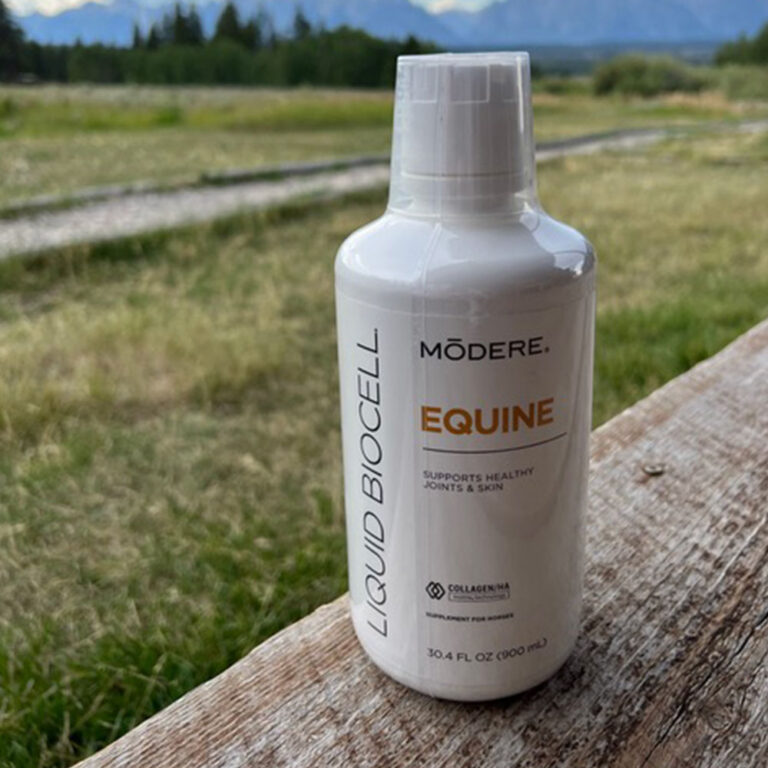 Buy Modere BioCell Collagen Equine for horses joints arthritis coat hair skin