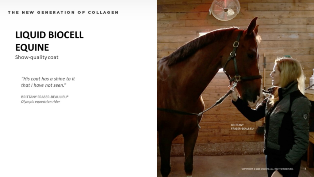 Buy Modere BioCell Collagen Equine for horses joints arthritis coat hair skin