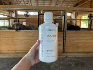 Buy Modere BioCell Collagen Equine for horses joints arthritis coat hair skin