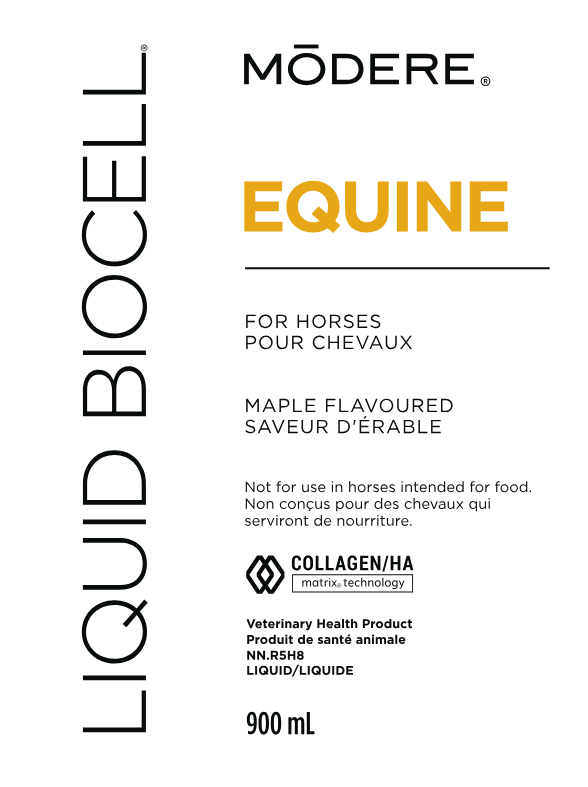Modere shaklee collagen pet Liquid BioCell Equine Horse 900ml CA US AUS petscollagen.com modere.com shaklee.com USA Canada Australia