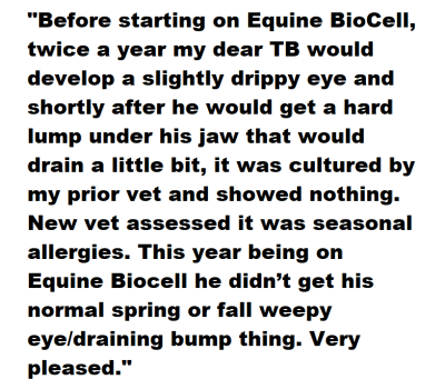 pets collagen Equine Modere review 2 pets collagen Equine Modere review 2