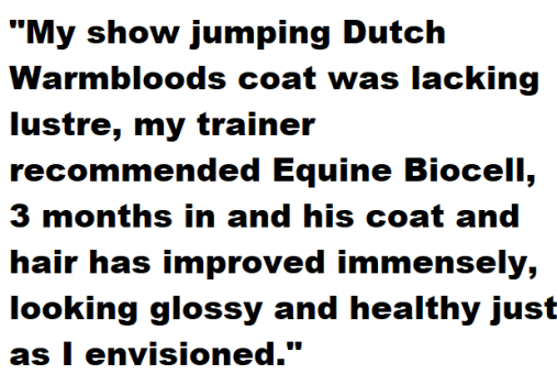 pets collagen Equine Modere review 4 pets collagen Equine Modere review 4